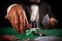 From Novice To High Roller: Crafting Your Online Casino Strategy